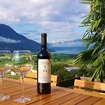 4-zi-wg Casa Sogno - Valle Mit Kamin. Alleinlage Im Rebberg! 아파트