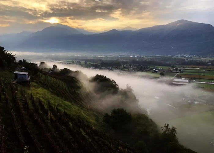 4-zi-wg Casa Sogno - Valle Mit Kamin. Alleinlage Im Rebberg! * Agarone